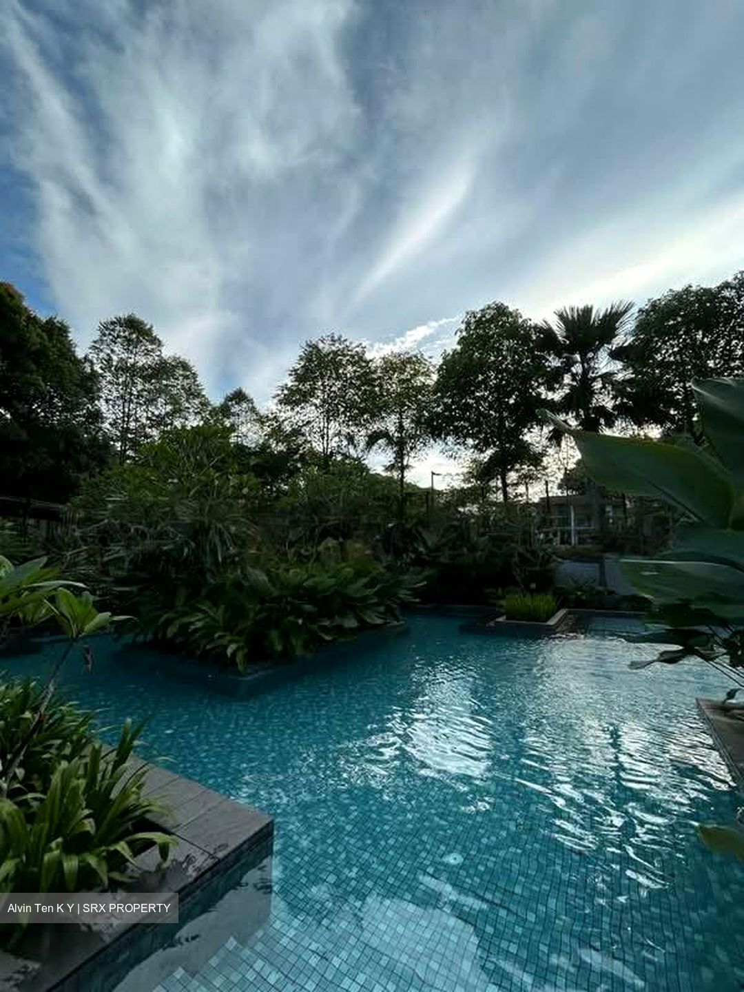 The Skywoods (D23), Condominium #567736951